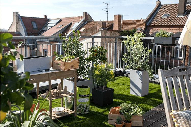 best location for container gardening urban gardening