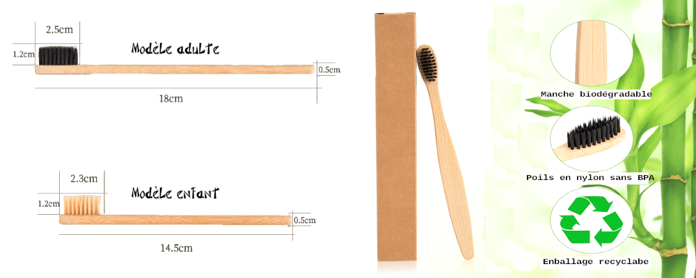 Dimensions et caractéristiques de nos brosses à dents en bambou