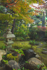 Jardin japonais zen 