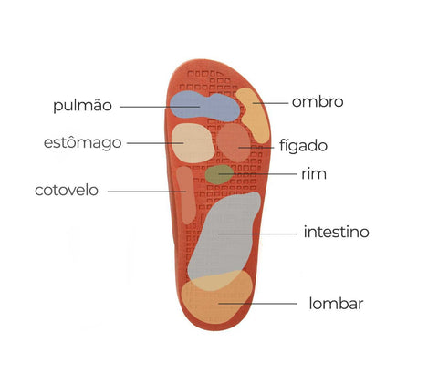mapa dos pés de reflexologia podal
