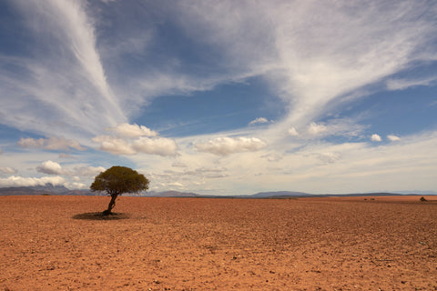 mudanças-climaticas-no-brasil