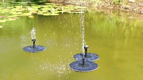 Solar Powered Fountain