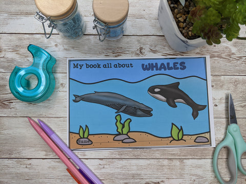 Whales Mini Book