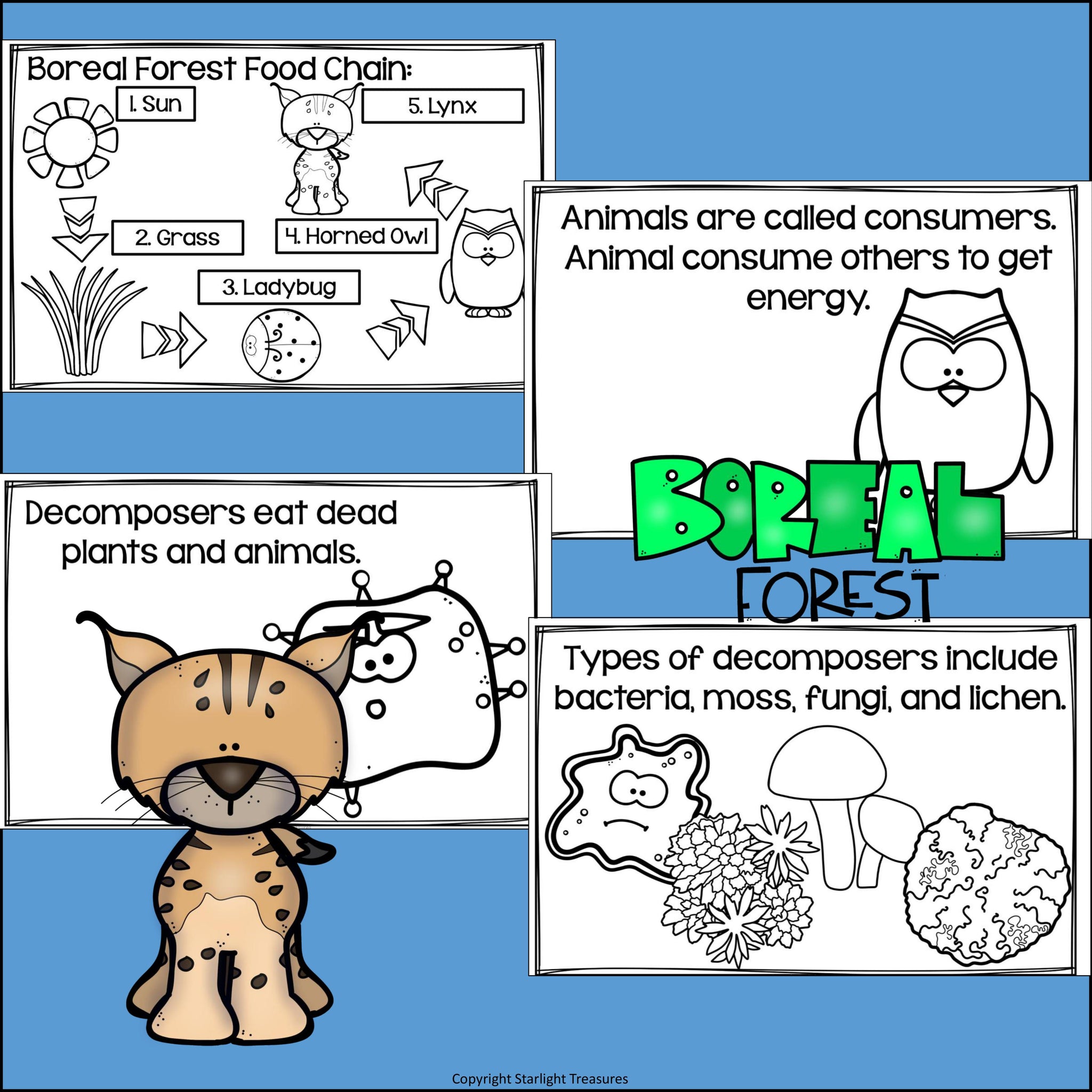 boreal forest animal food web