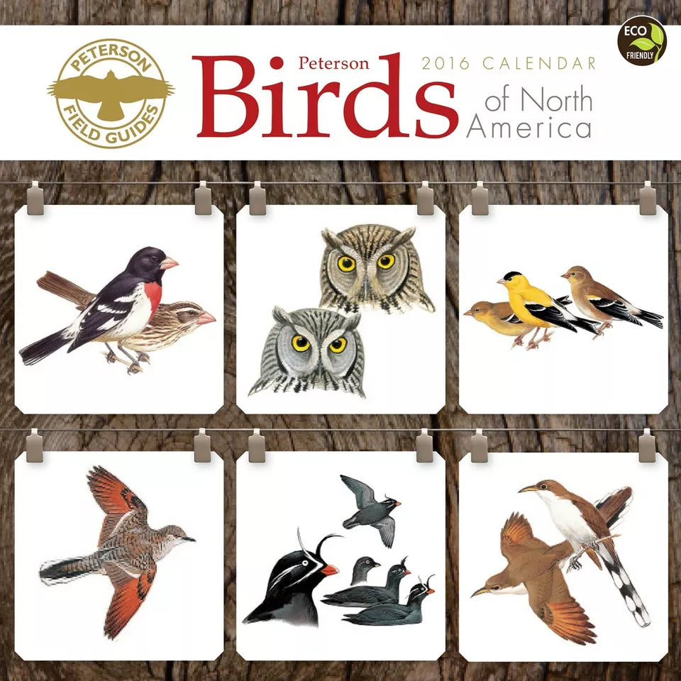 2016 Peterson Field Guide Birds Wall Calendar