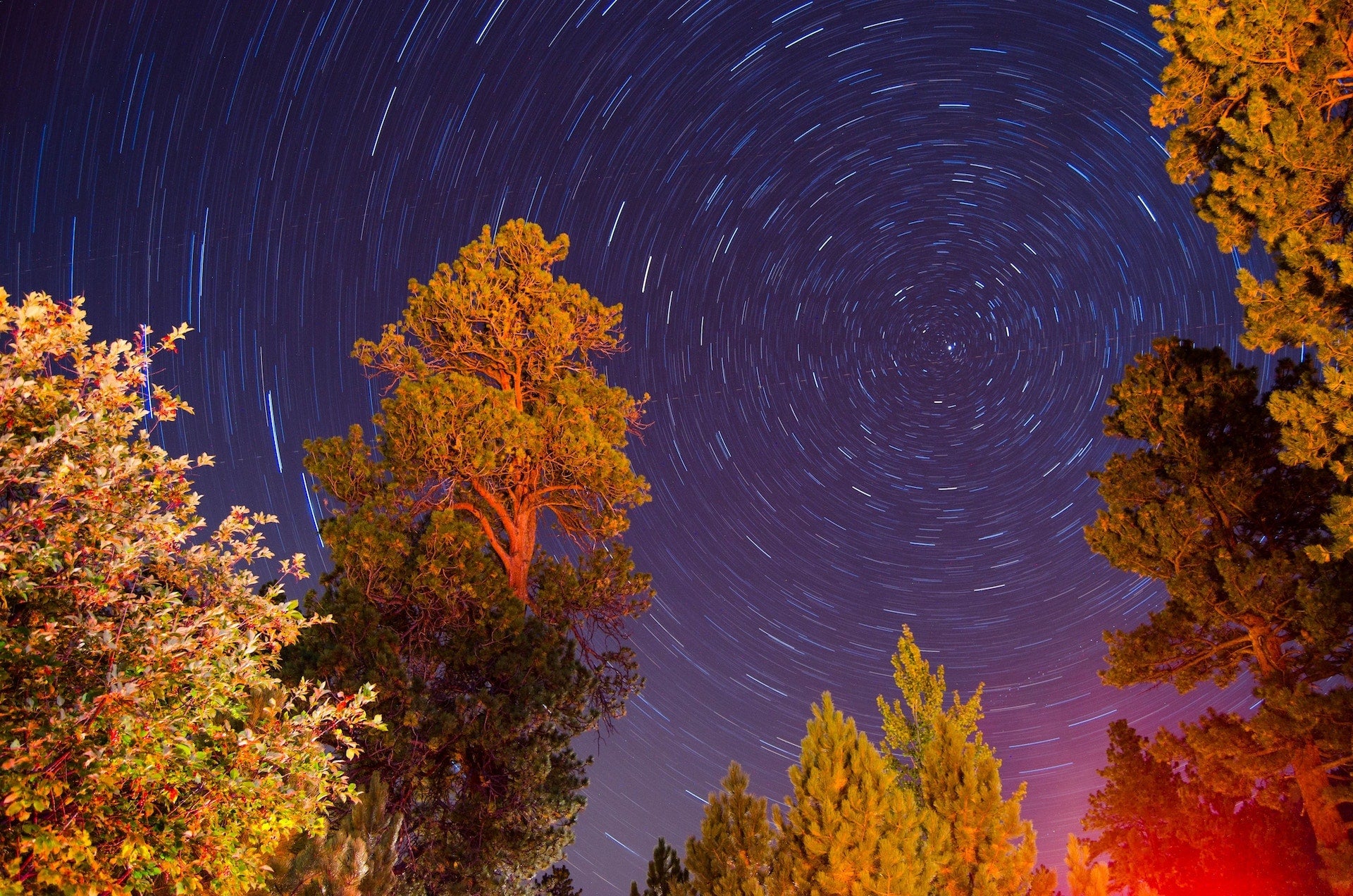 startrail photo