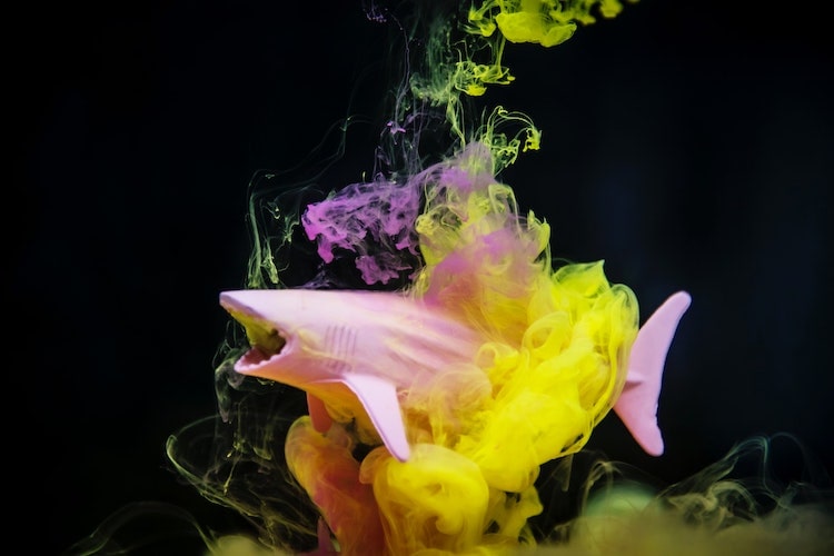 8 Tips to Shot Amazing Smoke Bomb Photos - MIOPS