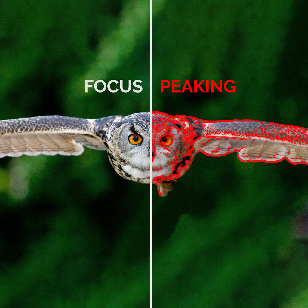 Focus Peaking