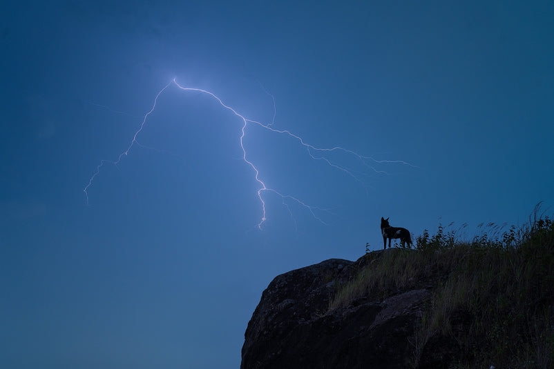 Safety When Photographing Lightning