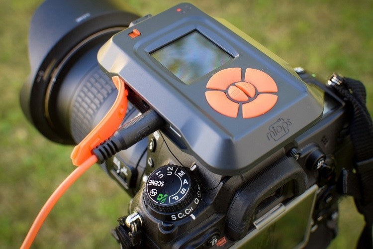  How to Shoot Wildlife Photos with MIOPS Smart