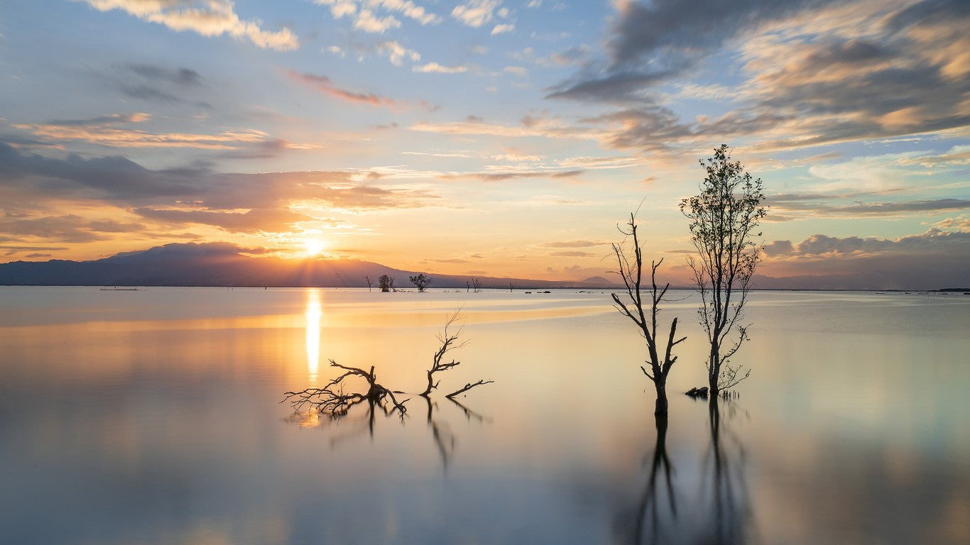 MIOPS Sun Moon Expert Golden Hour Photography