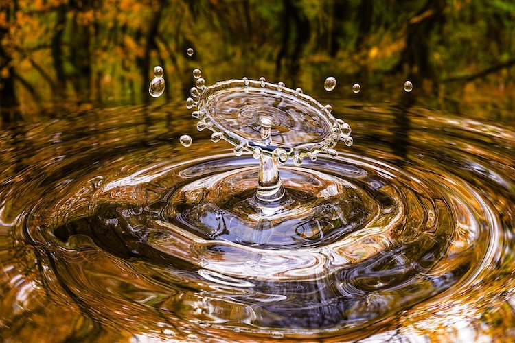 a water drop captured with high speed photography techniques at a river inside a forest