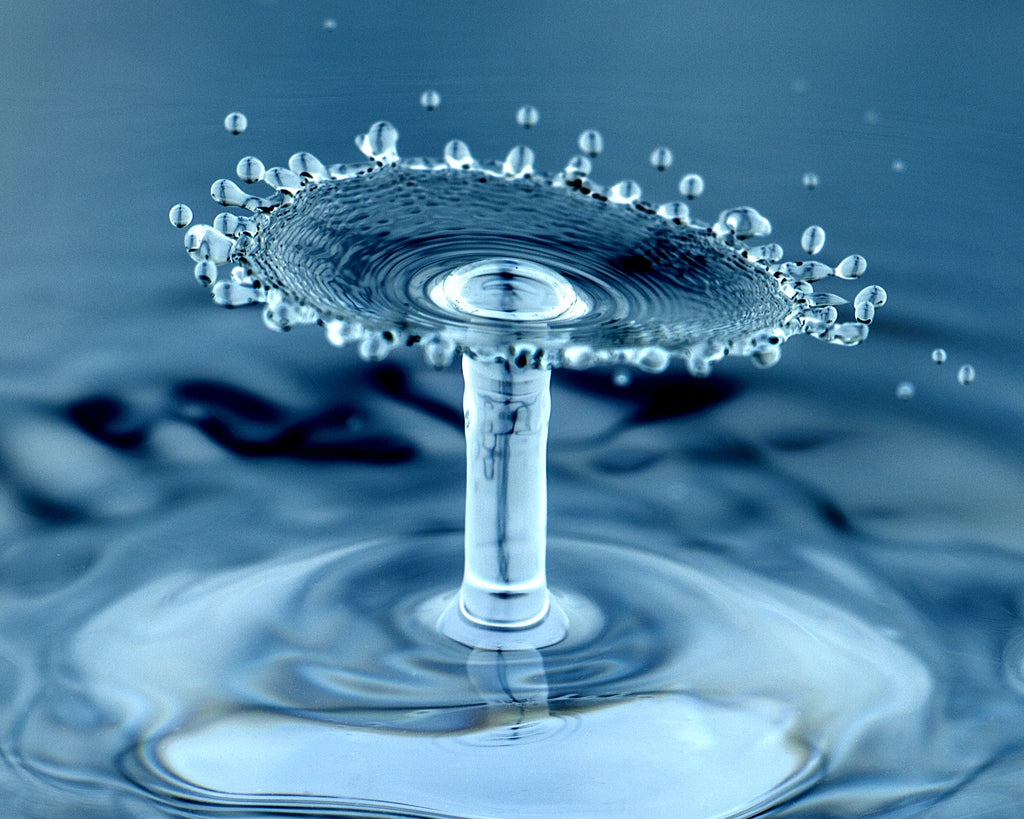 Water Drop Photo