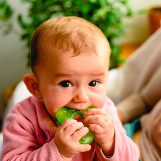 Baby teething and chewing on a soft green toy