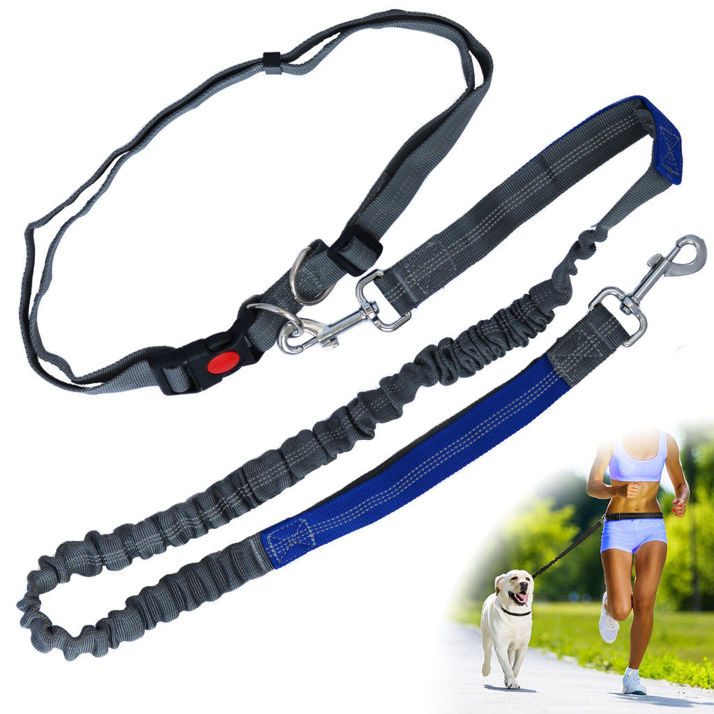 retractable waist leash