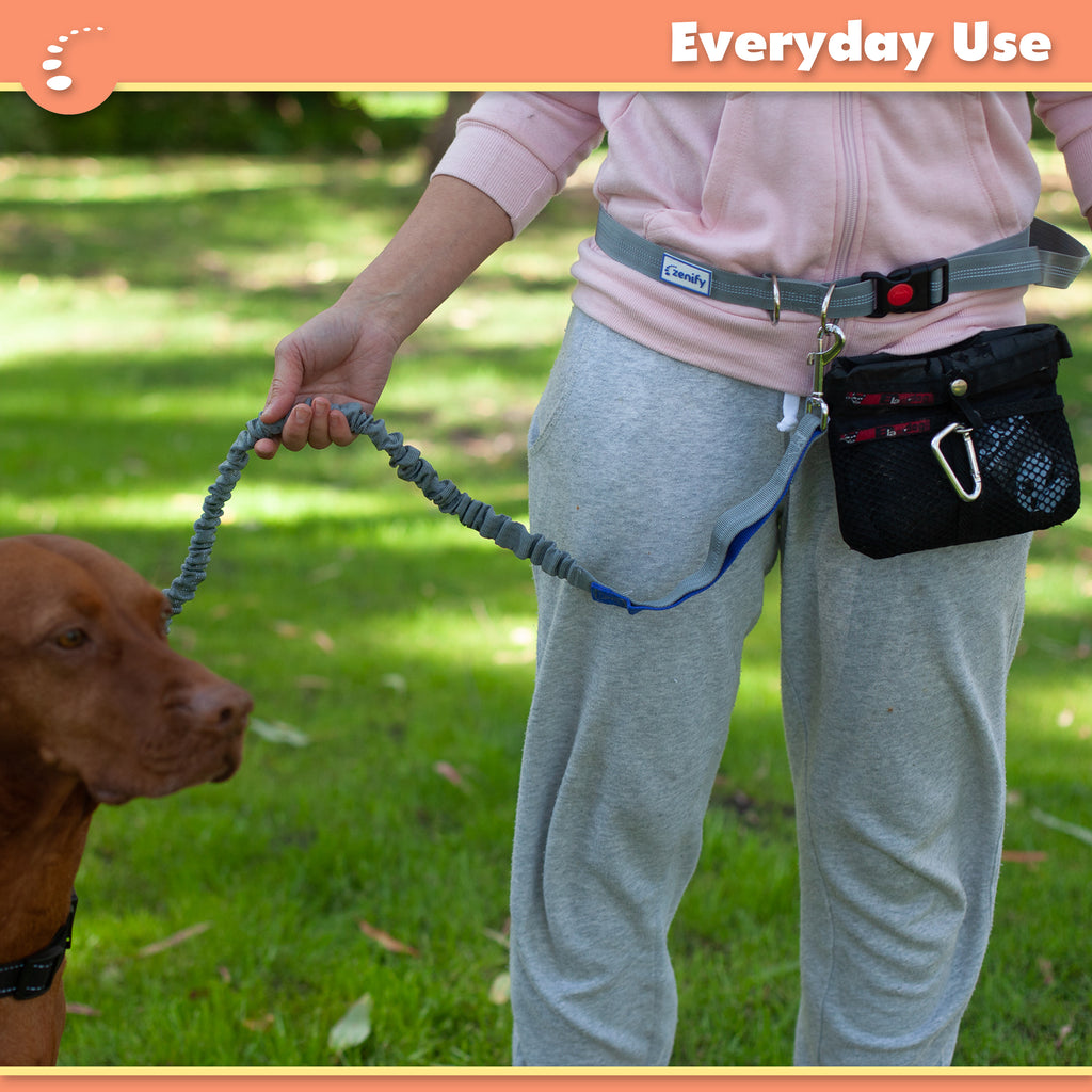 dog leash that attaches to waist