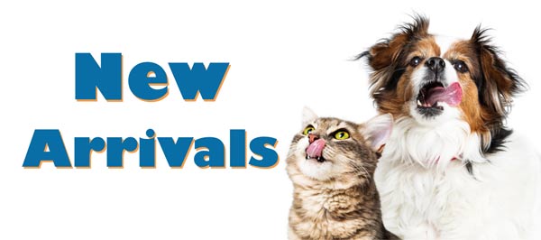 online pet food and supplies