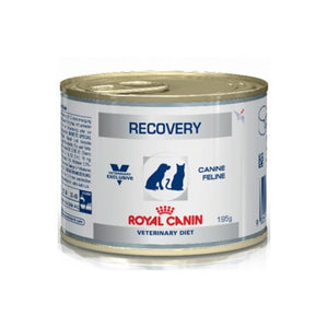 royal canin recovery pack