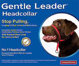 gentle leader headcollar for dogs