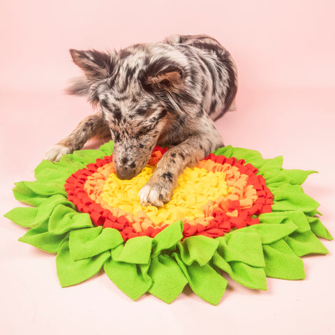 Dog with snuffle mat