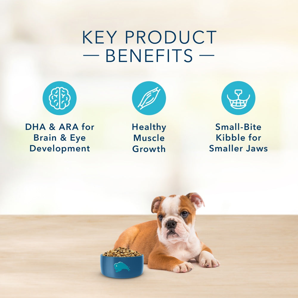 blue basics puppy food