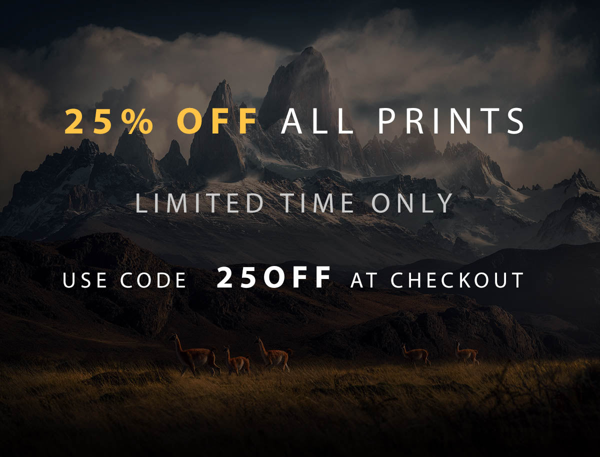 coupon-code-print-store-max-rive