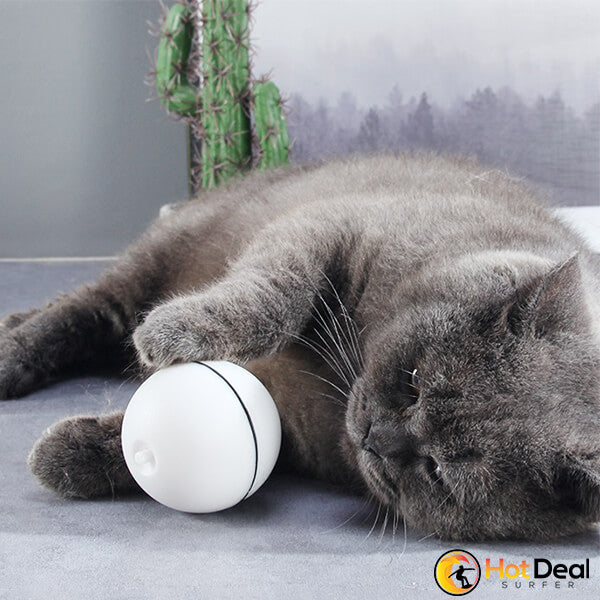 cat magic ball