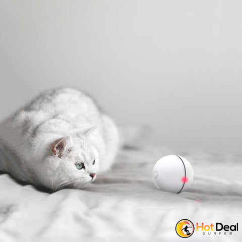 Cat LED Magic Ball 