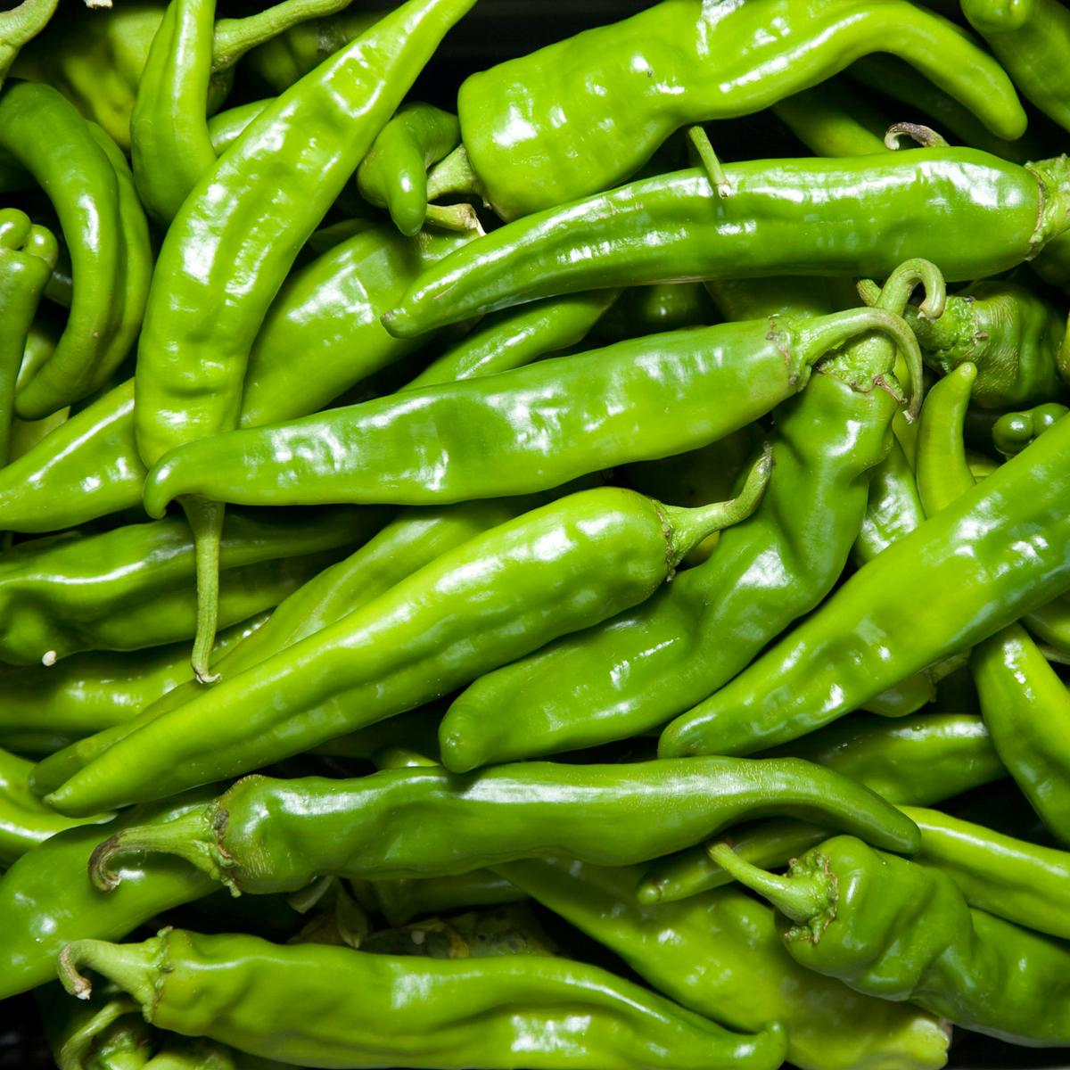 Farm Fresh Hatch Green Chile The Hatch Chile Store