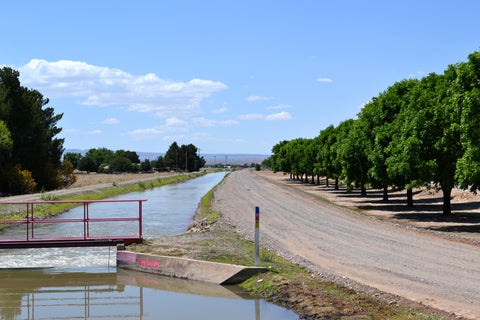 Hatch Valley New Mexico, Hatch Green Chile, Rio Grande, New Mexico Pecans