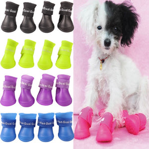 dog rain shoes