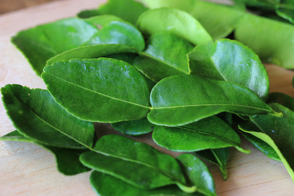 thai kaffir lime leaves