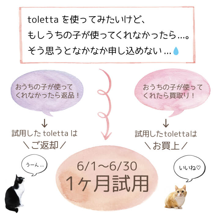 トレッタ１ヶ月試用キャンペーン 株式会社トレッタキャッツ Toletta トレッタ