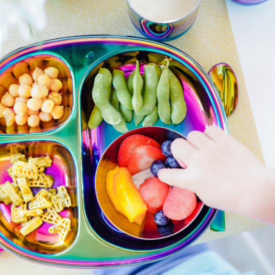 stainless steel plate with colorful rainbow meal