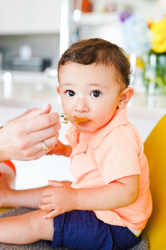 nutrition starts early, baby food introduction at six months old, baby purees and when to feed solids