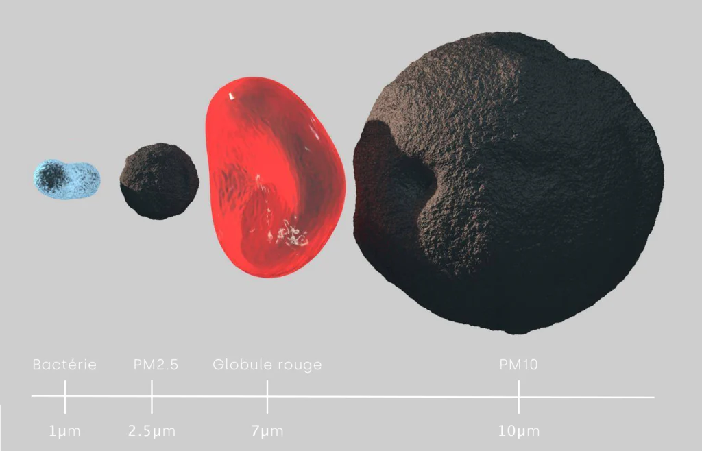 Particules fines PM2.5 et 10 à côté d'une bactérie et d'un globule rouge
