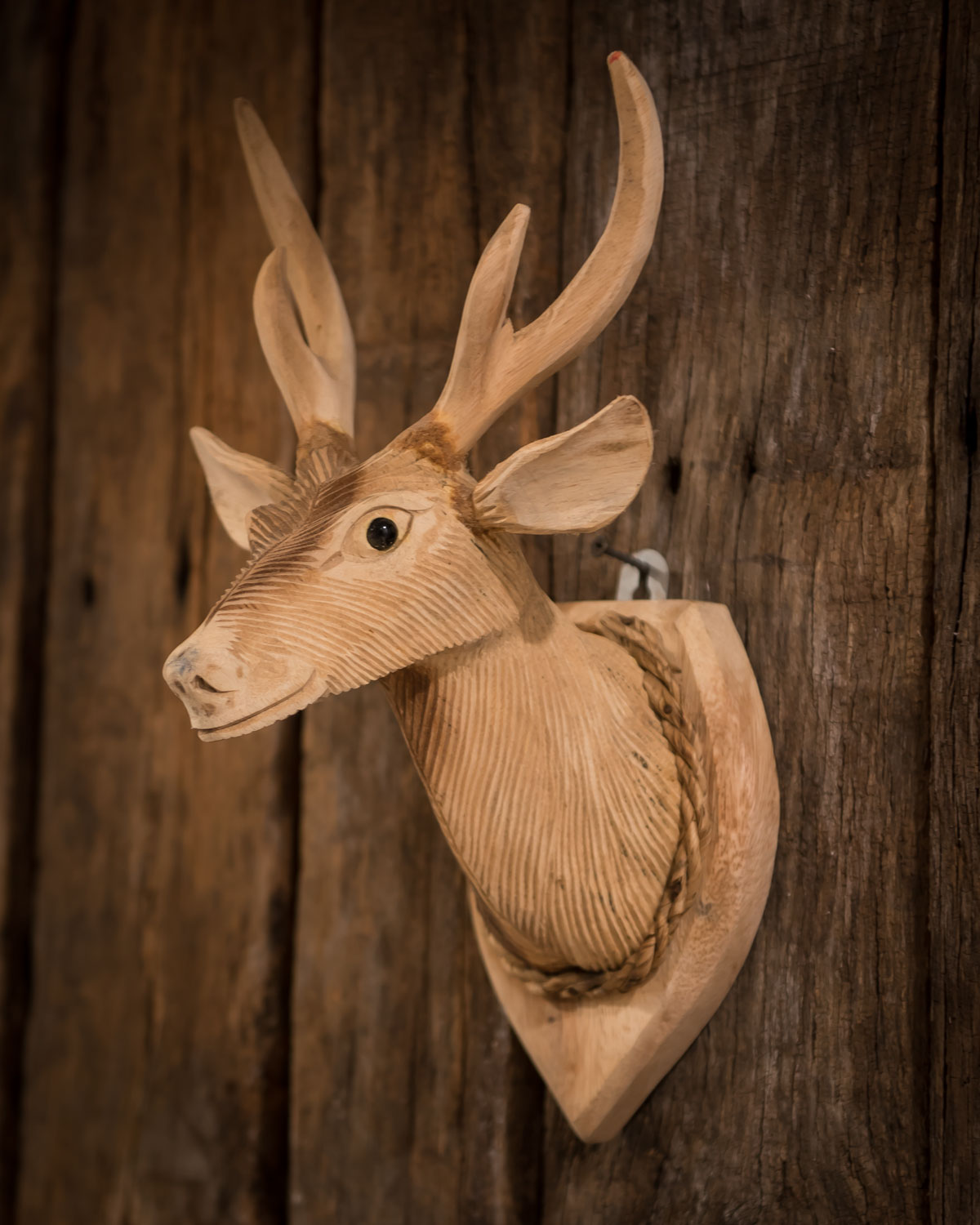 wooden deer head