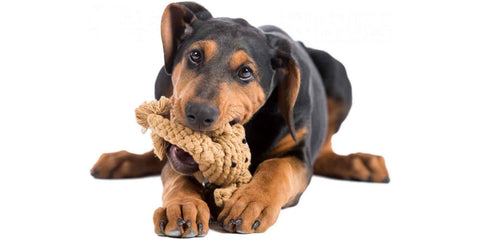 Kauspielzeug für Hunde aus natürlichen Materialien 
