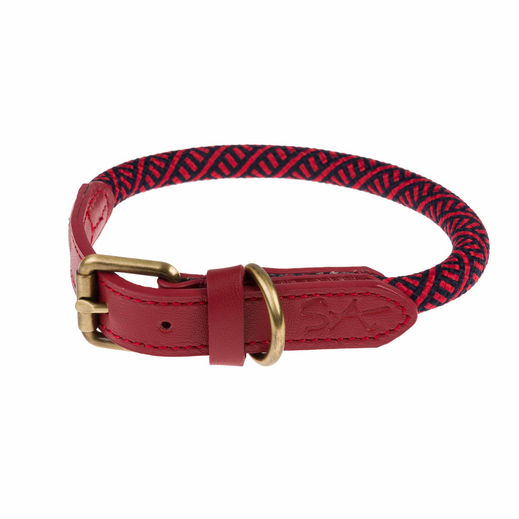 Hundehalsband Leder mit Steppnaht gold