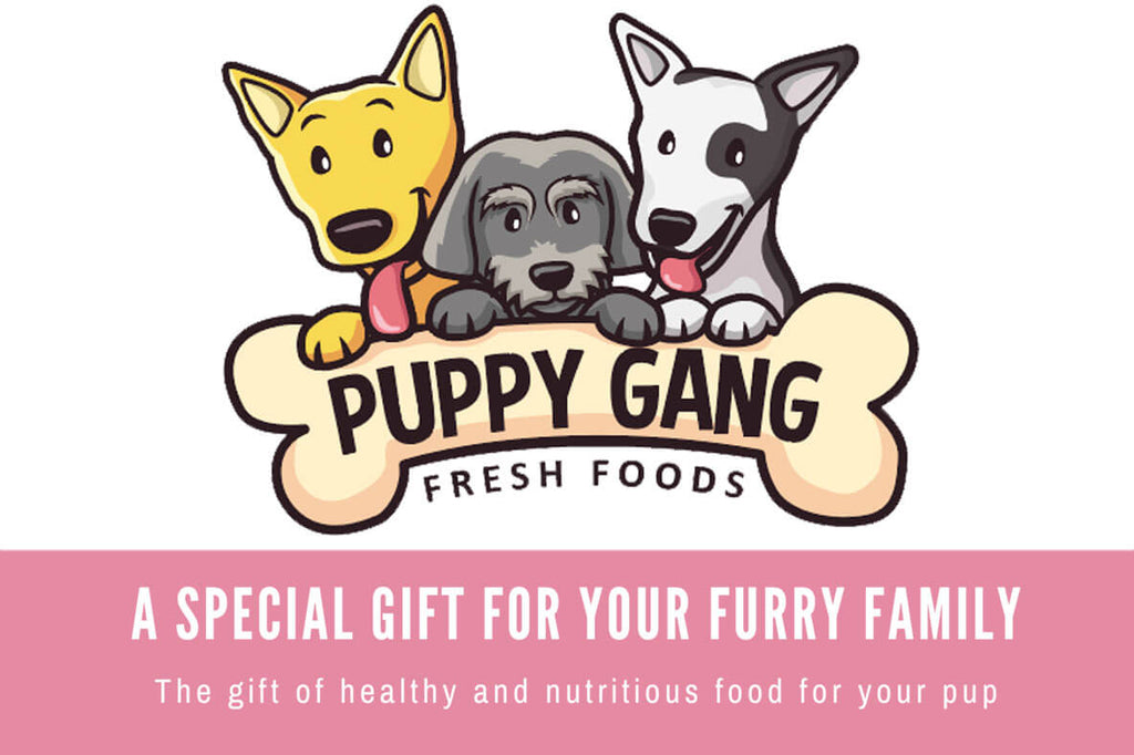 puppy gang fresh foods