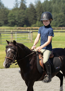 7 Ways to Carry a Phone While Horseback Riding  LearningHorsescom