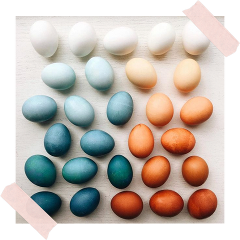Antipoda Co Dyed Eggs