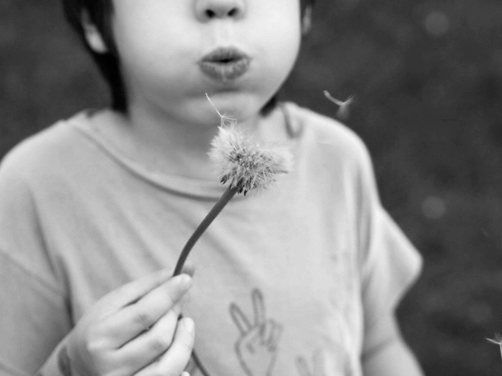 Ingrid's son Teo blowing seeds from a dandelion seed head