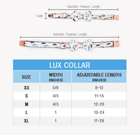 The Charlotte Collar Size Chart