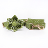 The Gracie Full Bloom Collar & Leash