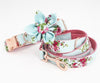 The Lucy Collar & Leash Set