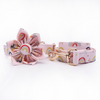 Rainbow Sprinkles Collar & Leash Set