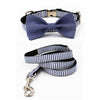 Sawyer Collar & Leash Set