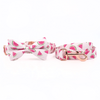 The Summer Slices Collar & Leash Set