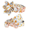 The Madeline Collar and Leash Set